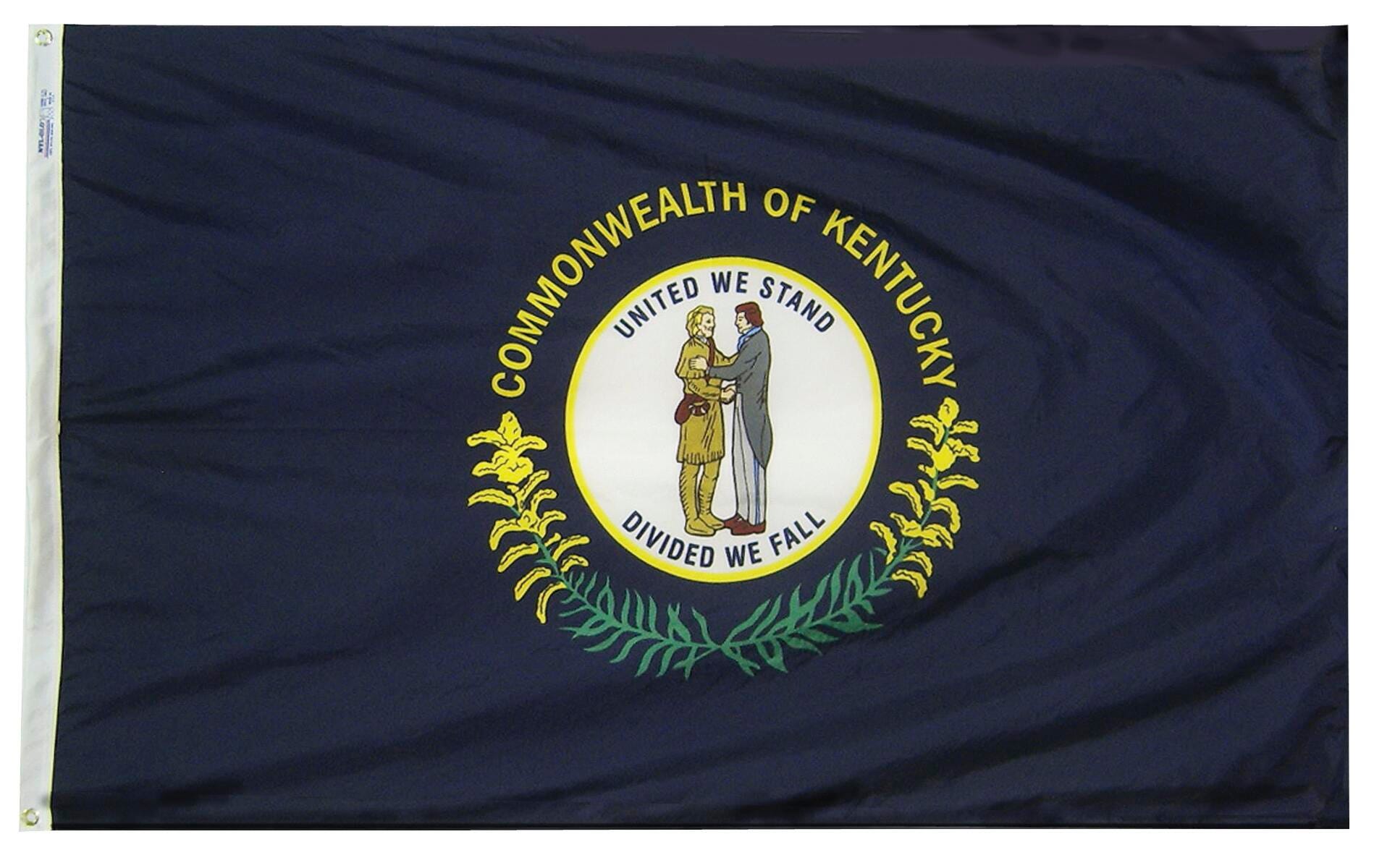 Annin Nylon Kentucky Heavy Weight Outdoor State Flag, 3 X 5 ft, Item Number 017166